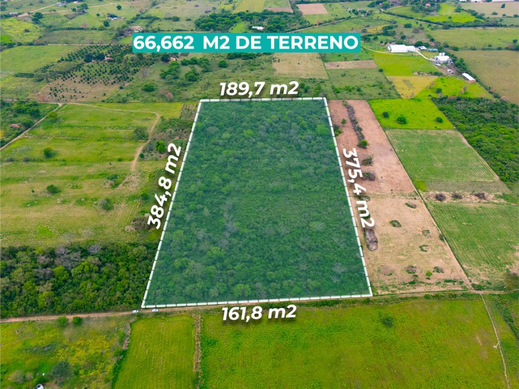 PROPIEDAD DE 6,66 HA EN VENTA | PAURITO  SANTA CRUZ