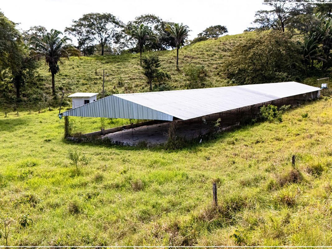 Propiedad 15.5 Ha (San Jose - zona La Guardia)