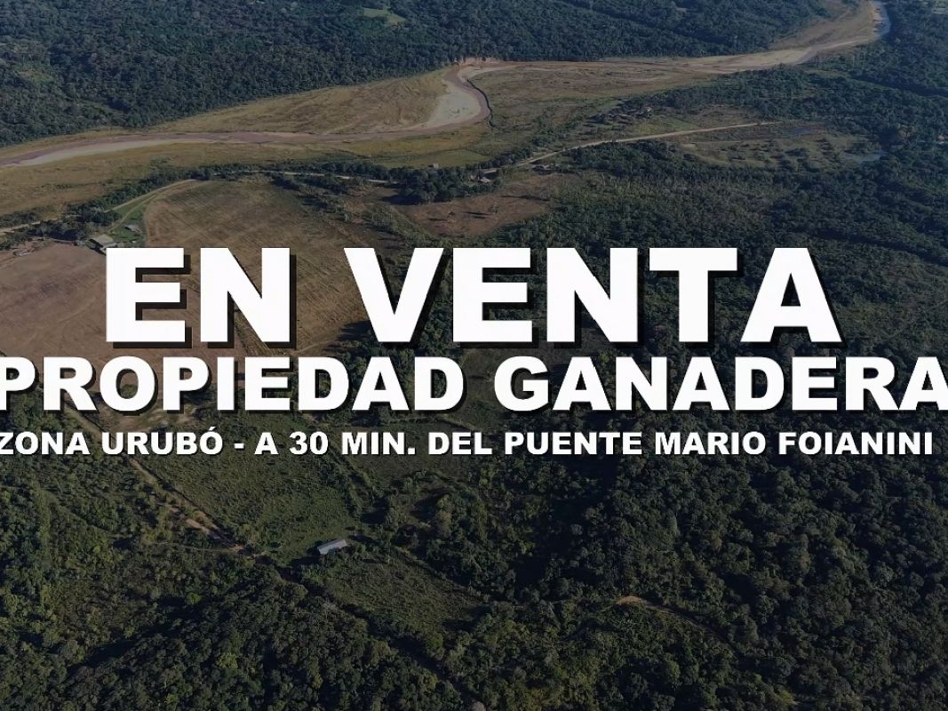 35 HECTÁREAS EN EL URUBO  GANADERA TC 7