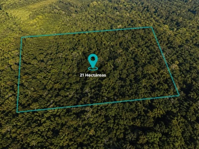 21 HECTÁREAS EN TEREBINTO ? PORONGO | TIERRA FÉRTIL, AGUA Y BOSQUE NATURAL  IDEAL PARA INVERSIÓN, PRODUCCIÓN, QUINTA O PROYECTO TURÍSTICO