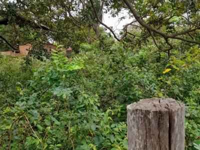 TERRENO DE 360 M2 EN ZONA EL RECREO
