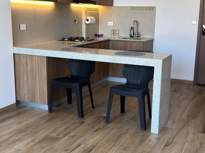 Departamento Amoblado de 1 Dormitorio en Alquiler Condominio Raizant Botanic