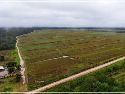 Propiedad "Puerto Seguro"