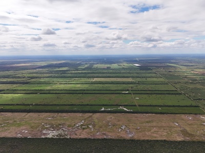 Propiedad Chajema Sector 1901 ha.