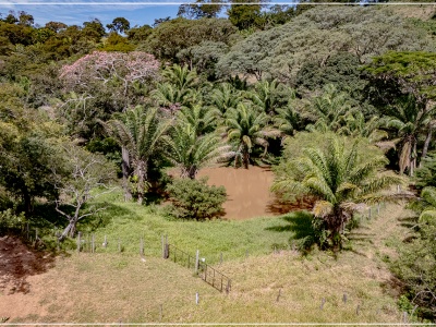 Propiedad 15.5 Ha (San Jose - zona La Guardia)