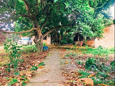 Casa en venta con amplio terreno 