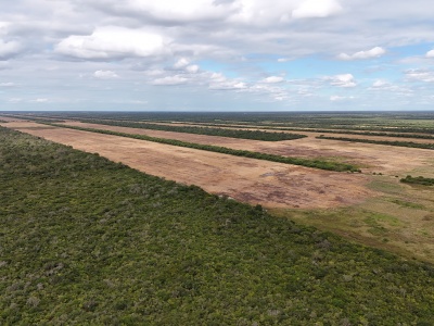 Propiedad Chajema Sector 2504 Has - Tres Cruces