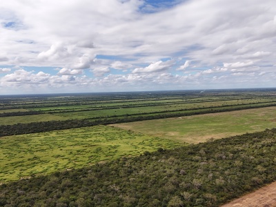 Propiedad Chajema Sector 1901 ha.