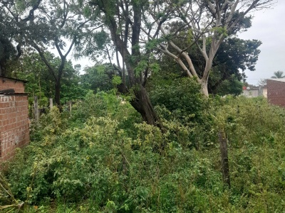 TERRENO DE 360 M2 EN ZONA EL RECREO