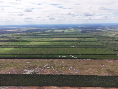 Propiedad Chajema Sector 1901 ha.