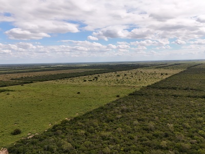 Propiedad Chajema Sector 1901 ha.