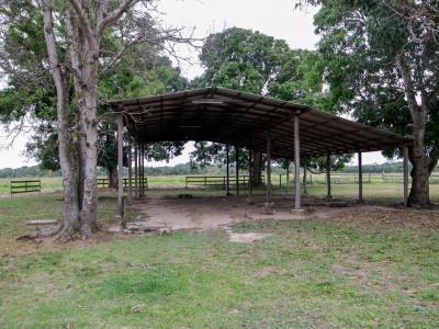 Propiedad 463 Ha Guadalupe 1 (zona Santa Rosa del Sara)