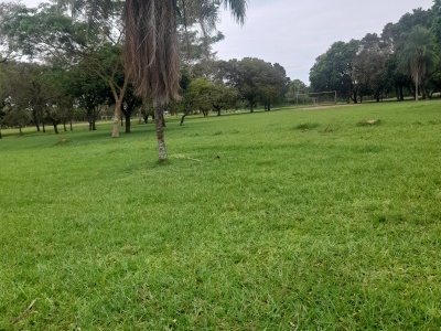 TERRENO DE 360 M2 EN ZONA EL RECREO