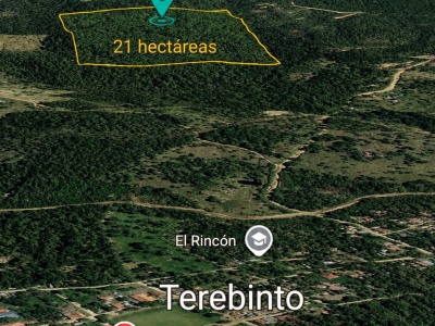 21 HECTÁREAS EN TEREBINTO ? PORONGO | TIERRA FÉRTIL, AGUA Y BOSQUE NATURAL  IDEAL PARA INVERSIÓN, PRODUCCIÓN, QUINTA O PROYECTO TURÍSTICO