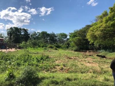 TERRENO EN VENTA EN COTOCA URB. PRIMAVERA