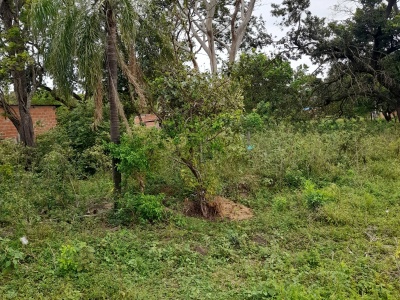 TERRENO DE 360 M2 EN ZONA EL RECREO