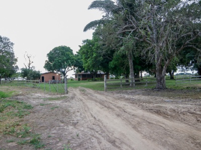 Propiedad 463 Ha Guadalupe 1 (zona Santa Rosa del Sara)