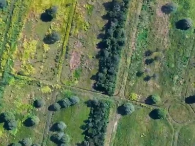 70,5 HAS, DENTRO DE LA MANCHA URBANA HOMOLOGADA DE COTOCA - Ideal para urbanizar