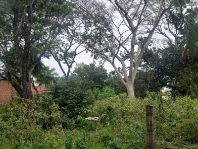 TERRENO DE 360 M2 EN ZONA EL RECREO
