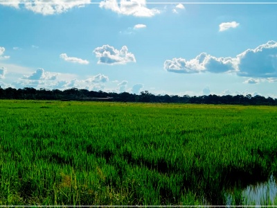 Propiedad "Puerto Seguro"
