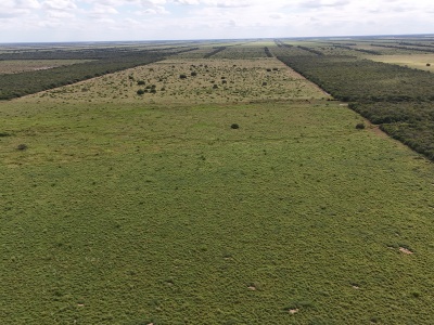 Propiedad Chajema Sector 1901 ha.