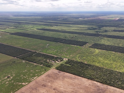 Propiedad Chajema Sector 1750 Has - Tres Cruces