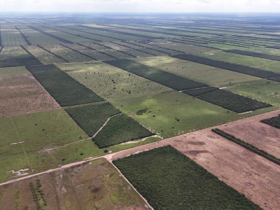 Propiedad Chajema Sector 1901 ha.