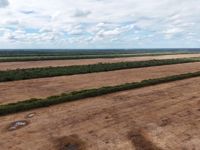 Propiedad Chajema Sector 1901 ha.