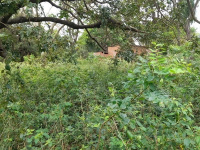 TERRENO DE 360 M2 EN ZONA EL RECREO