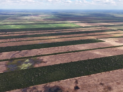 Propiedad Chajema Sector 1901 ha.