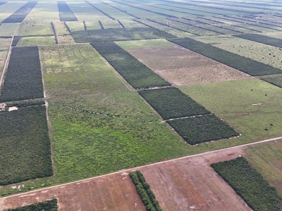 Propiedad Chajema Sector 1901 ha.
