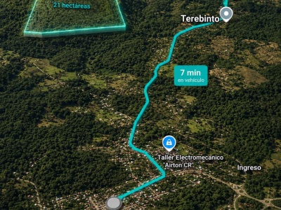 21 HECTÁREAS EN TEREBINTO ? PORONGO | TIERRA FÉRTIL, AGUA Y BOSQUE NATURAL  IDEAL PARA INVERSIÓN, PRODUCCIÓN, QUINTA O PROYECTO TURÍSTICO