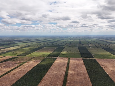 Propiedad Chajema Sector 1901 ha.