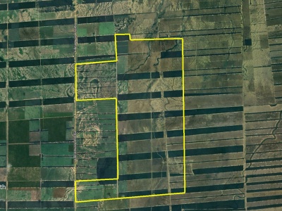 Propiedad Chajema Sector 1750 Has - Tres Cruces