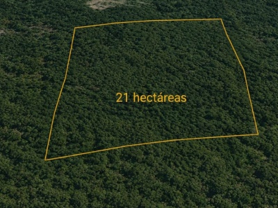 21 HECTÁREAS EN TEREBINTO ? PORONGO | TIERRA FÉRTIL, AGUA Y BOSQUE NATURAL  IDEAL PARA INVERSIÓN, PRODUCCIÓN, QUINTA O PROYECTO TURÍSTICO