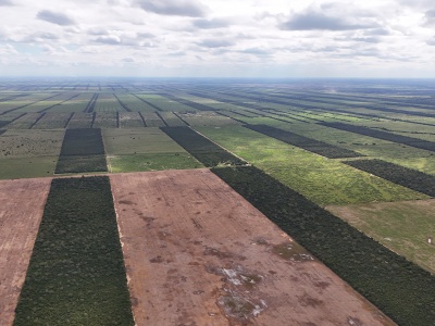 Propiedad Chajema Sector 1901 ha.