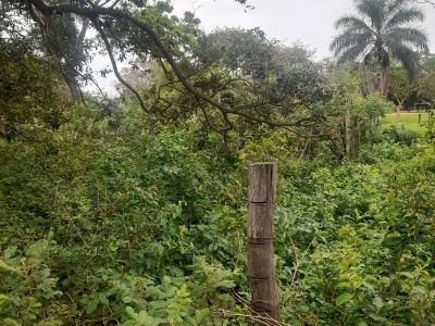 TERRENO DE 360 M2 EN ZONA EL RECREO